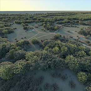 Scene Generation Example